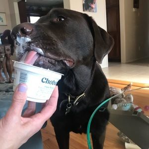 Meet your Posher, Sydney